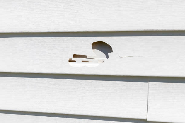 Best Storm Damage Siding Repair  in Richmond, UT